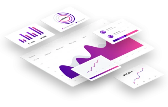 Customer profile user interface